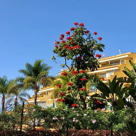 Apartment Tigaiga Puerto de la Cruz (Tenerife)