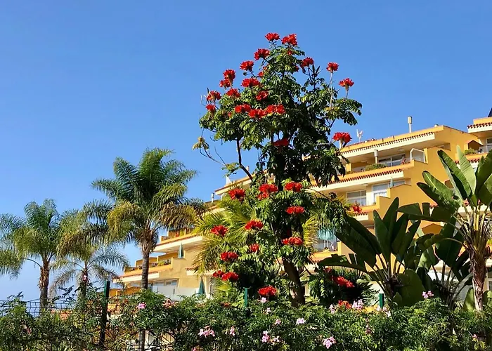 Apartamento Tigaiga Puerto de la Cruz (Tenerife)